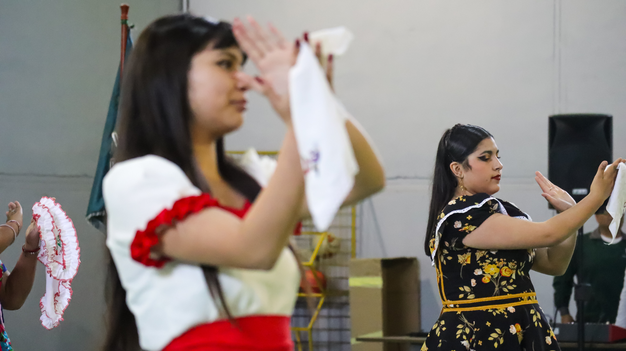 LIDESAH: "1° Encuentro de Cueca y Danzas Folclóricas" con un mensaje de unión y cultura