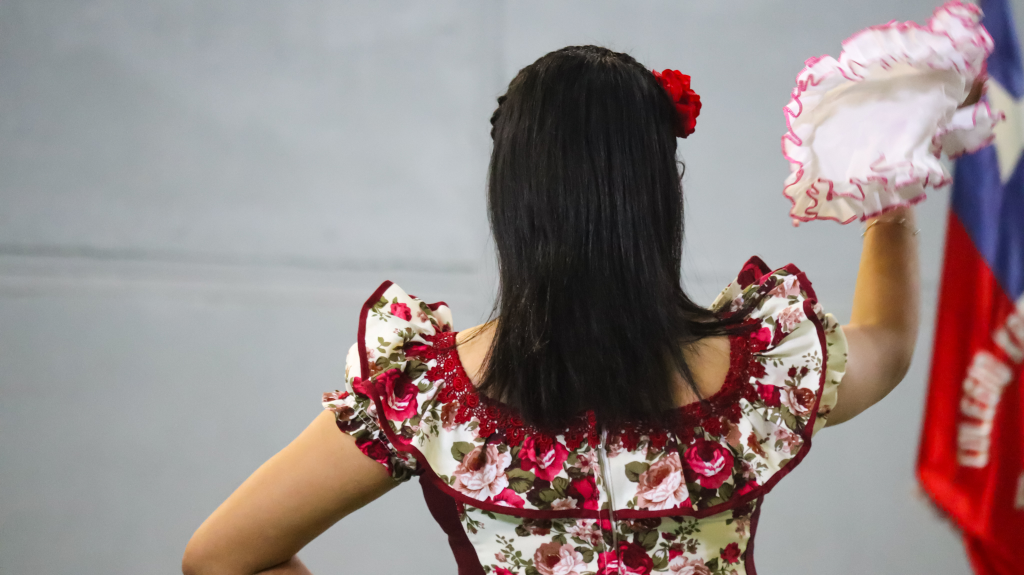 LIDESAH: "1° Encuentro de Cueca y Danzas Folclóricas" con un mensaje de unión y cultura
